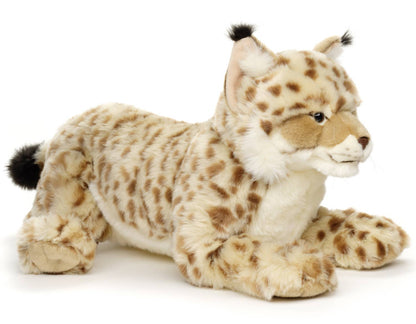 Peluche Lynx couché