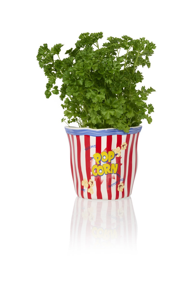 bol sachet de pop corn bitten