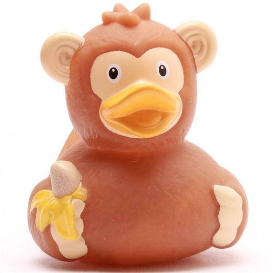 Canard singe