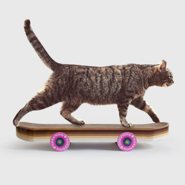 Skateboard de grattage pour chat