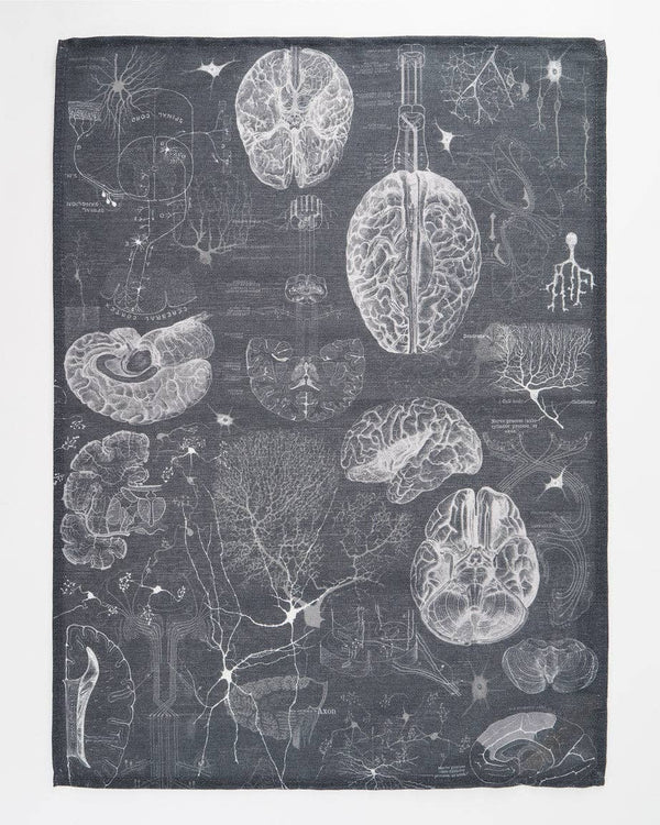 Torchon Science du Cerveau et des Neurosciences – produit scientifique Cognitive Surplus EU, vue 1