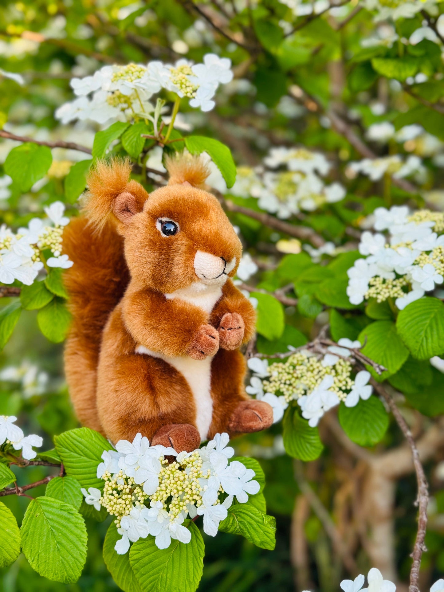 Red Squirrel Plush Toy