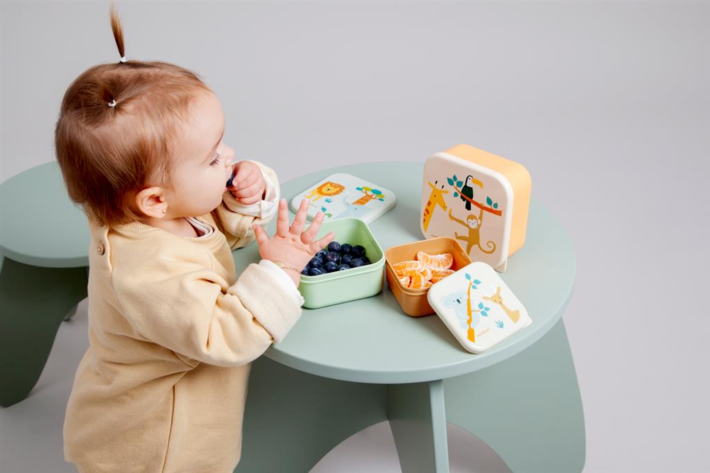 Boîte à déjeuner Animaux de la Jungle