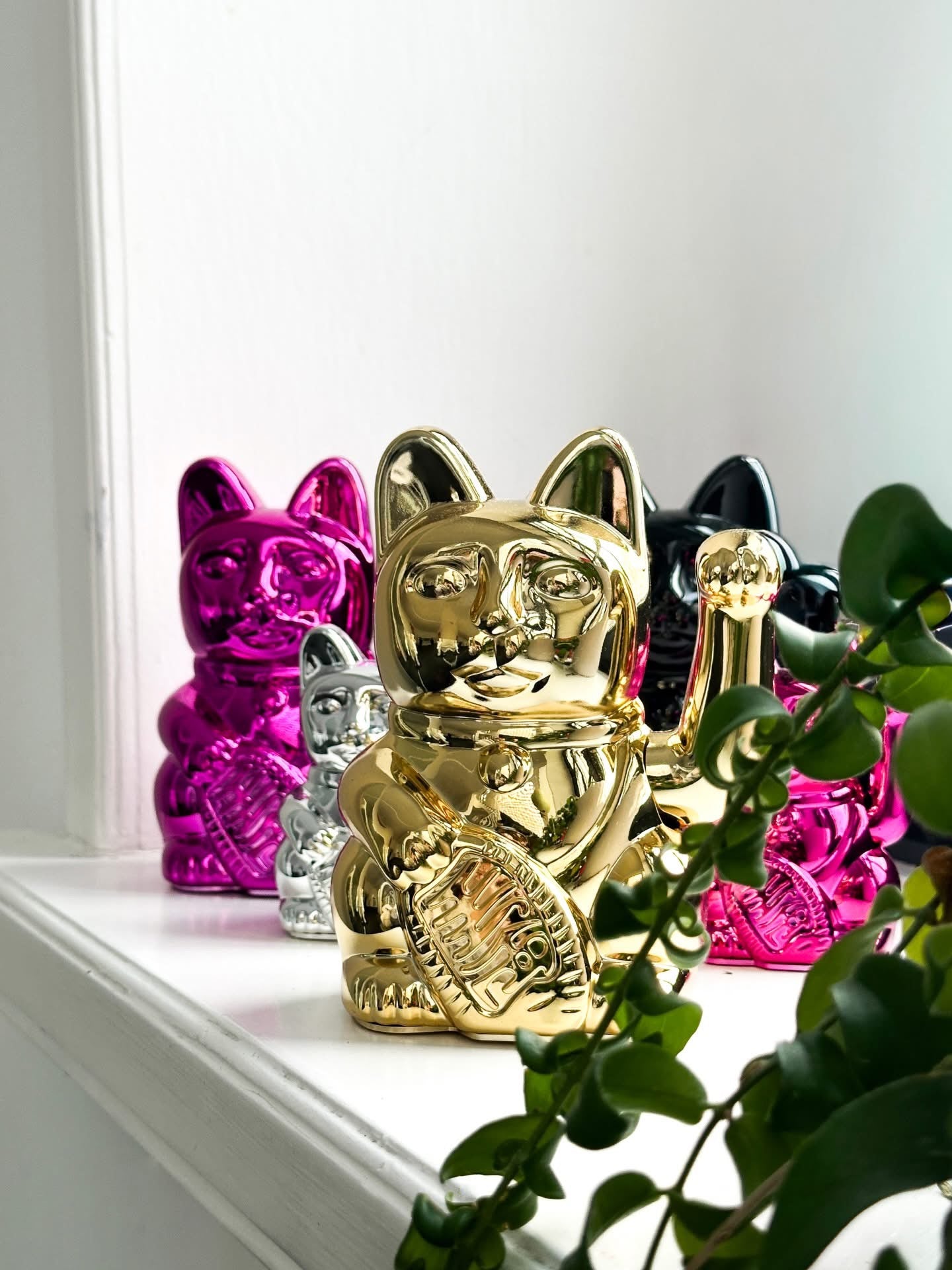 Lucky Bright Pink Cat “Sorya”