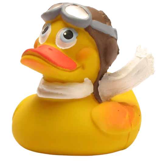 Canard Aviateur