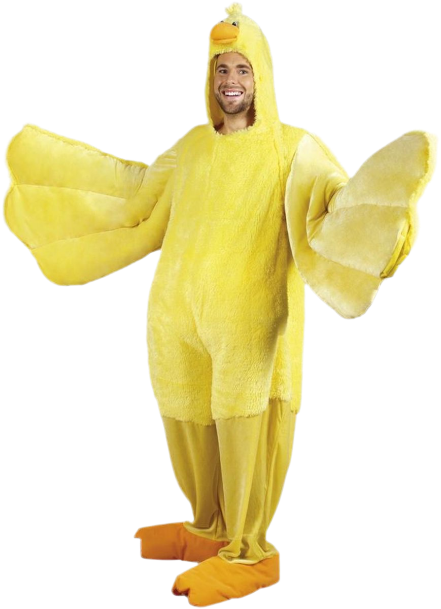Duck Costume 