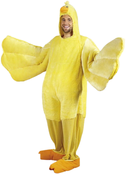 Duck Costume 