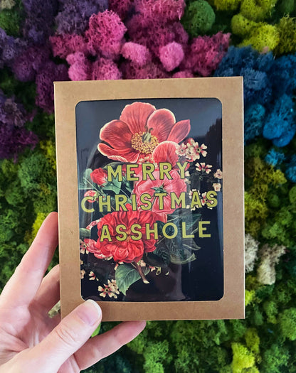 Box of 10 "Merry Christmas Asshole" cards