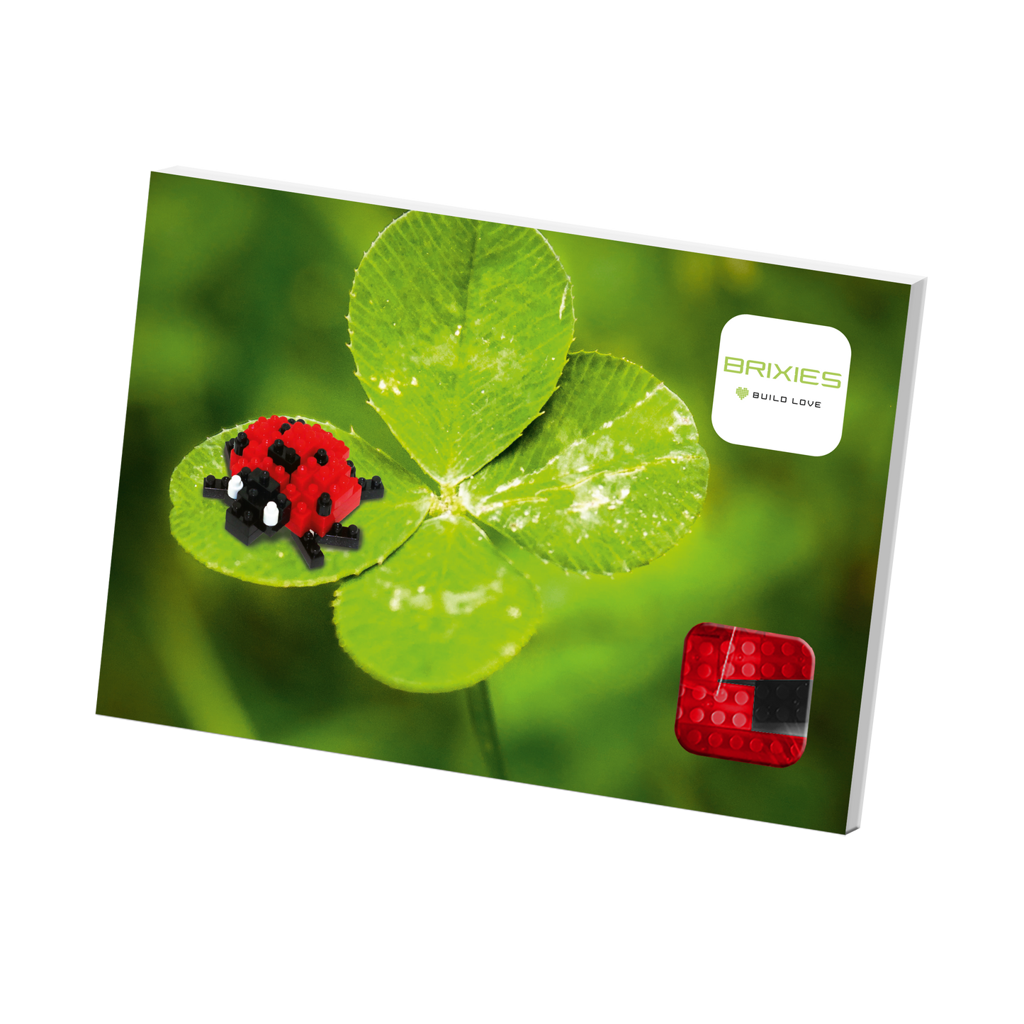 Brixies ladybug postcard