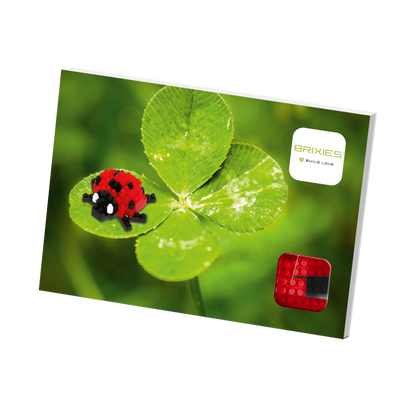 Brixies ladybug postcard