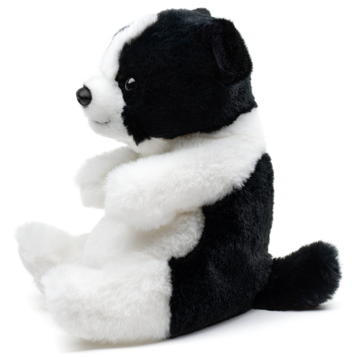 Kawaii sitting Border Collar plush toy