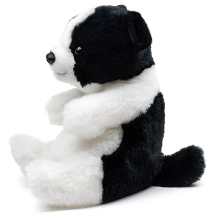 Kawaii sitting Border Collar plush toy