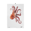 Geschirrtuch Gustave – Oktopus