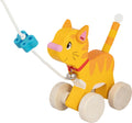 Animale da Traino - Gatto