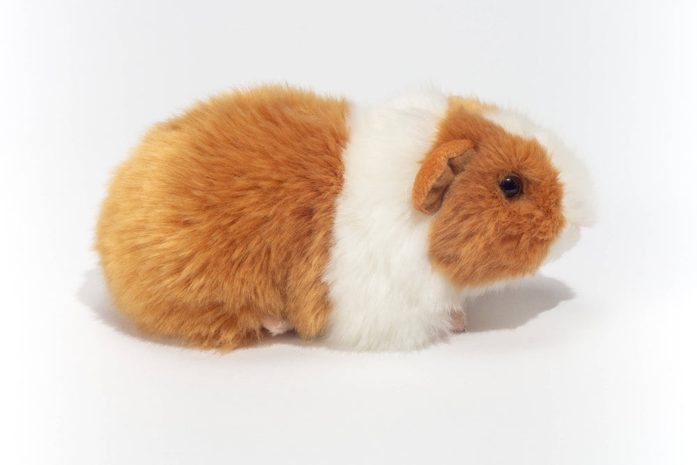 Peluche Cochon d'Inde Doré/Blanc