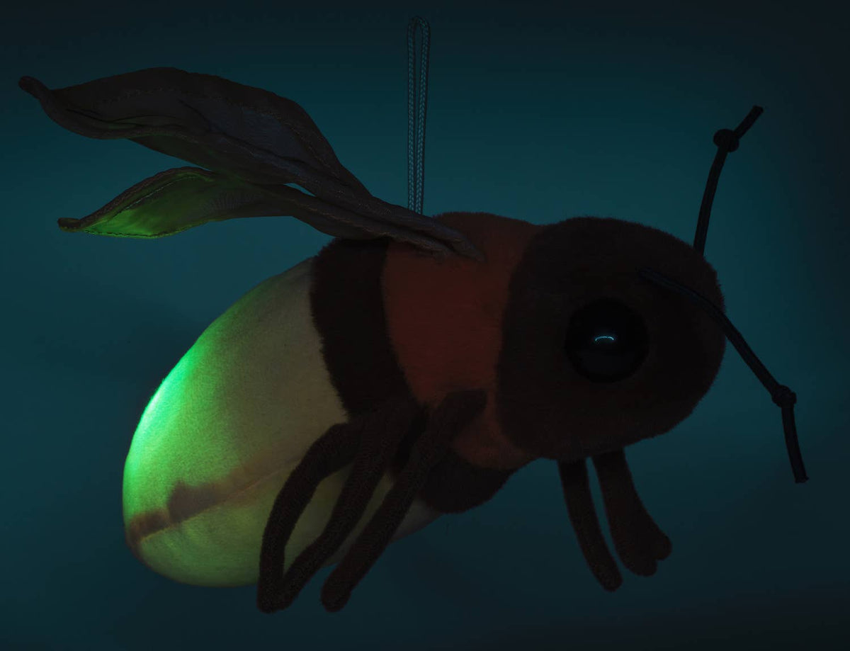 Light-up firefly plush toy