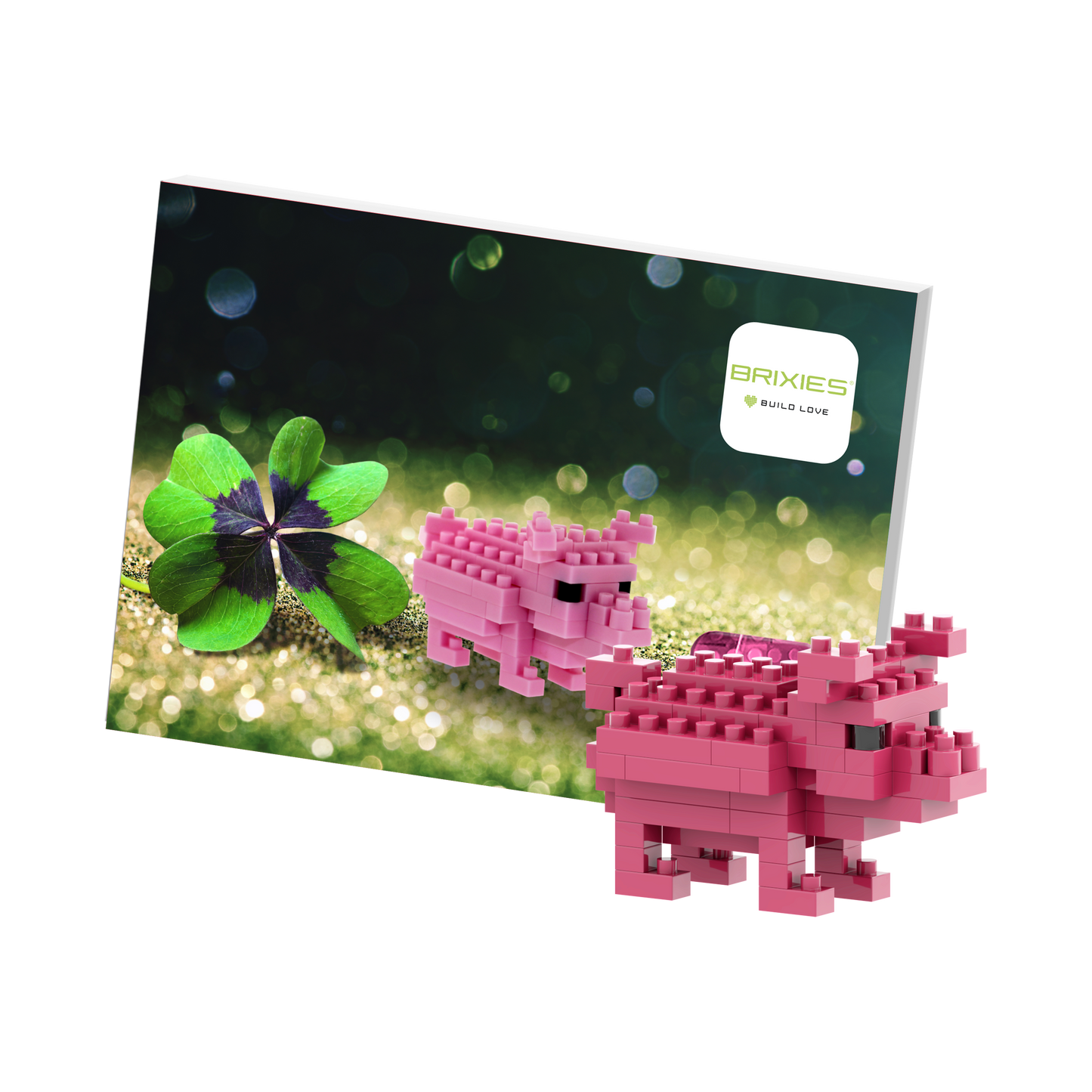 BRIXIES lucky pig postcard