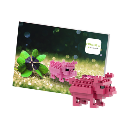 BRIXIES lucky pig postcard