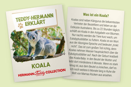 Koala Plush Toy