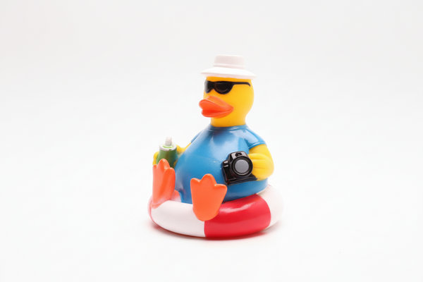 Tourist Duck on a Buoy