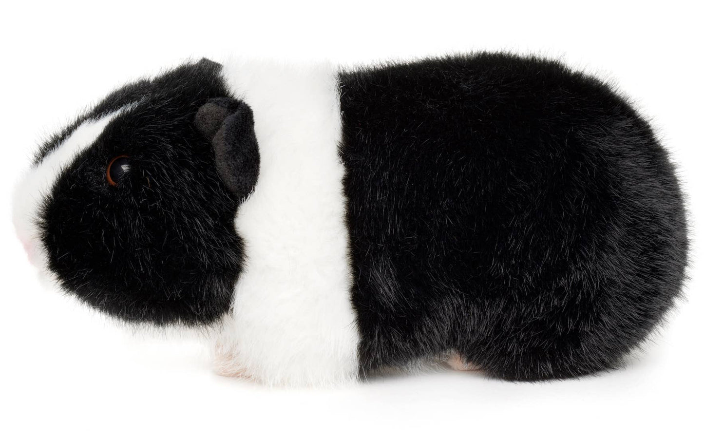 Guinea Pig (black) - 21 cm (length) - Plush Toy