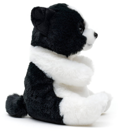 Kawaii sitting Border Collar plush toy