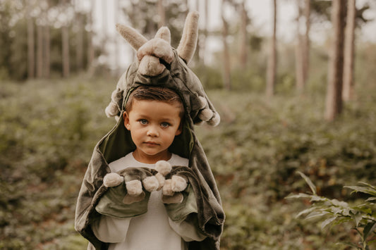 Déguisement Enfant Dino