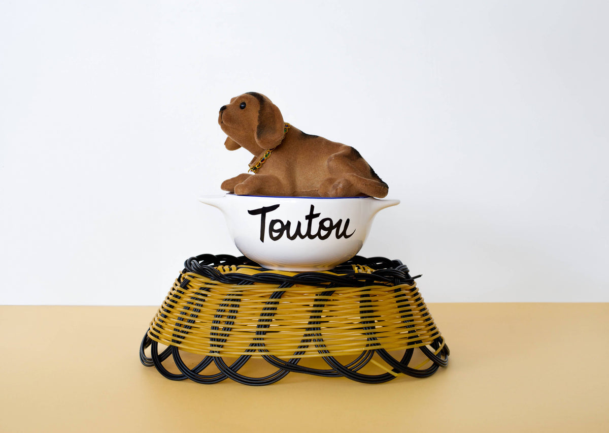 Breton Bowl Dog