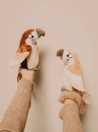 Rusty - the Talking Parrot - Pierre