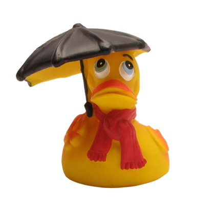 Rainy Weather Duck
