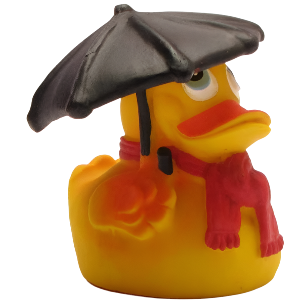 Rainy Weather Duck