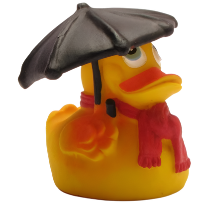 Rainy Weather Duck
