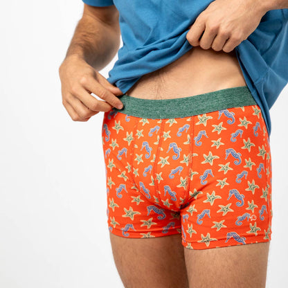 Organic Cotton Boxer Shorts - Seahorse
