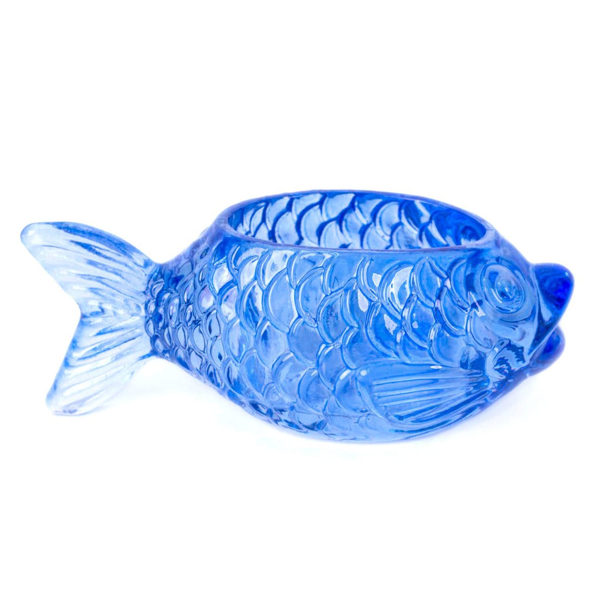 3-Pack Fish Containers