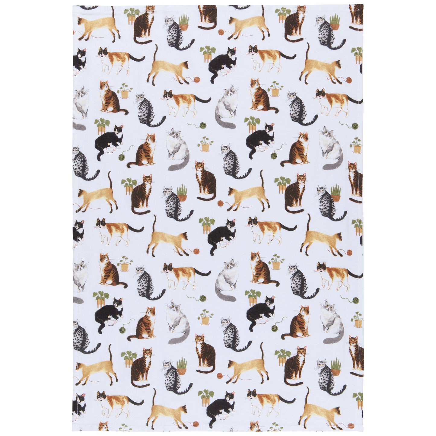 Set of 3 Cat Tea Towels
