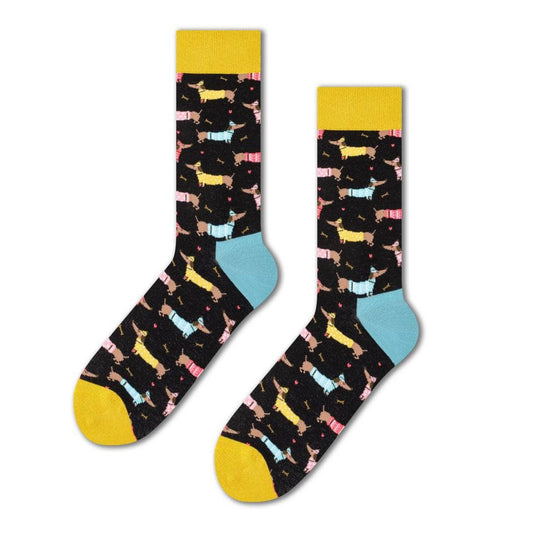 Dachshund socks with sweater
