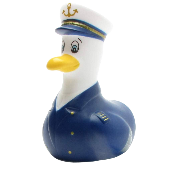 Mouette Capitaine