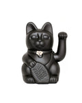 Lucky black cat