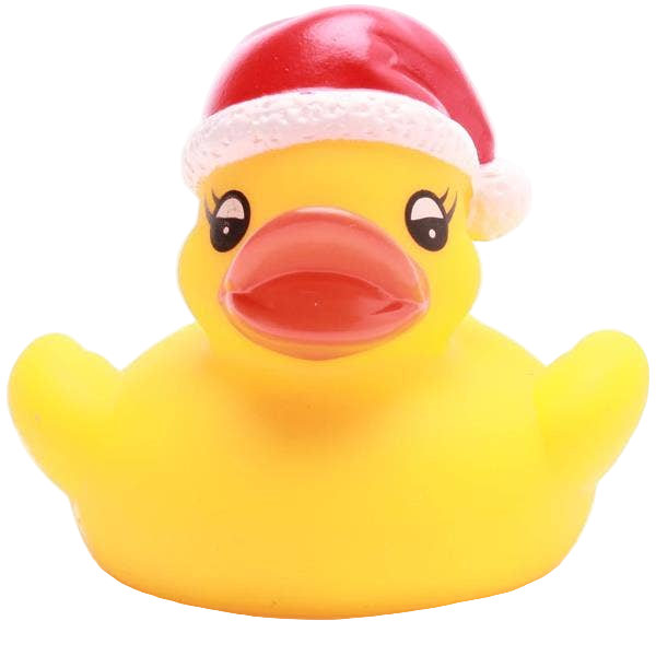 Petit Canard de Noël