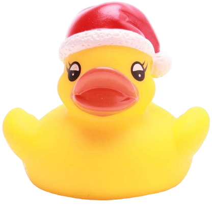 Petit Canard de Noël