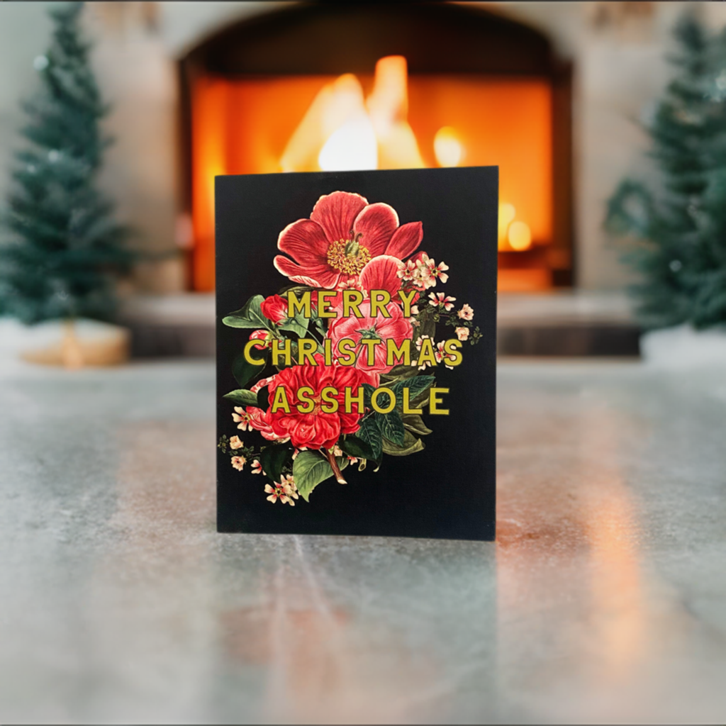 Box of 10 "Merry Christmas Asshole" cards