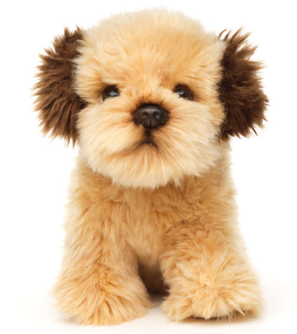 Shih Tzu Doodle Plush Toy, Sitting