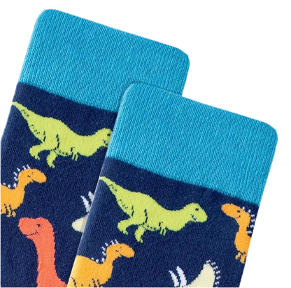 Chaussettes Dinosaures