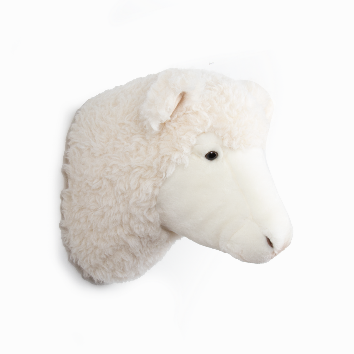 Harry the Sheep plush wall decoration