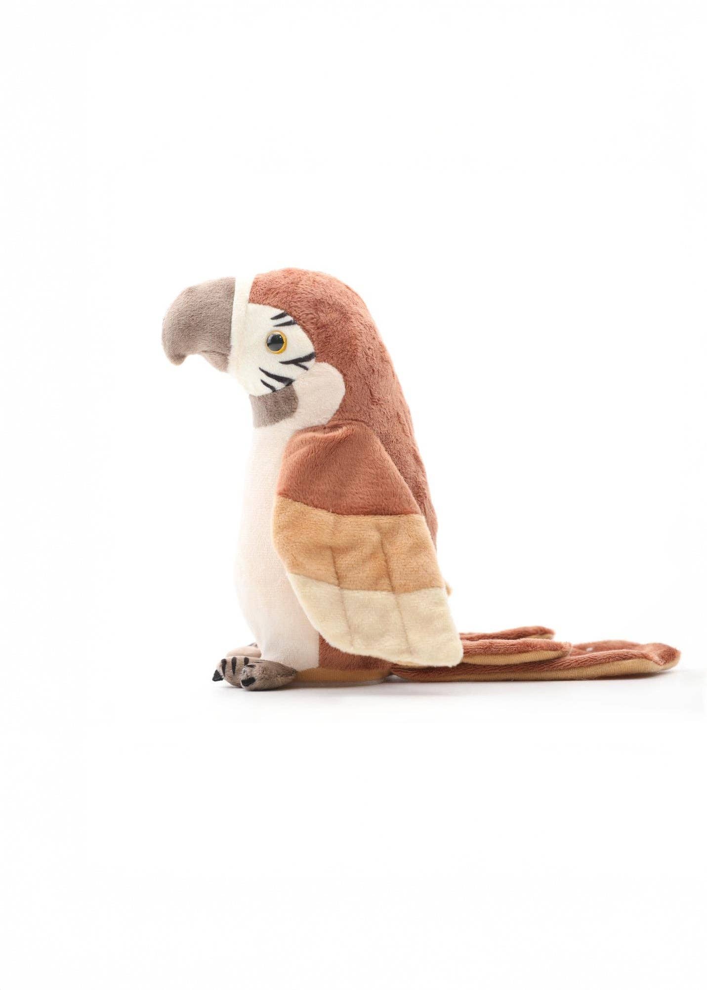Rusty - the Talking Parrot - Pierre