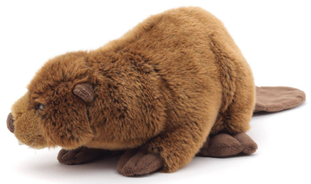 Peluche Castor