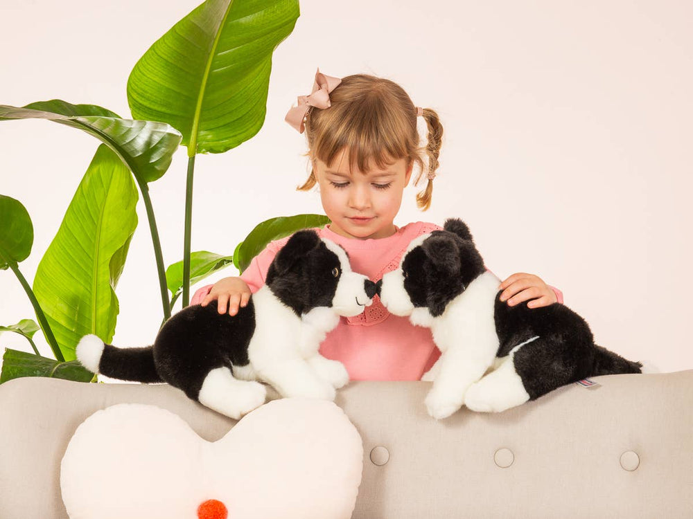 Peluche Chiot Border Collie – 25 cm