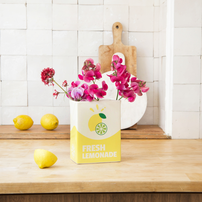 vaso di mattoni di limonata