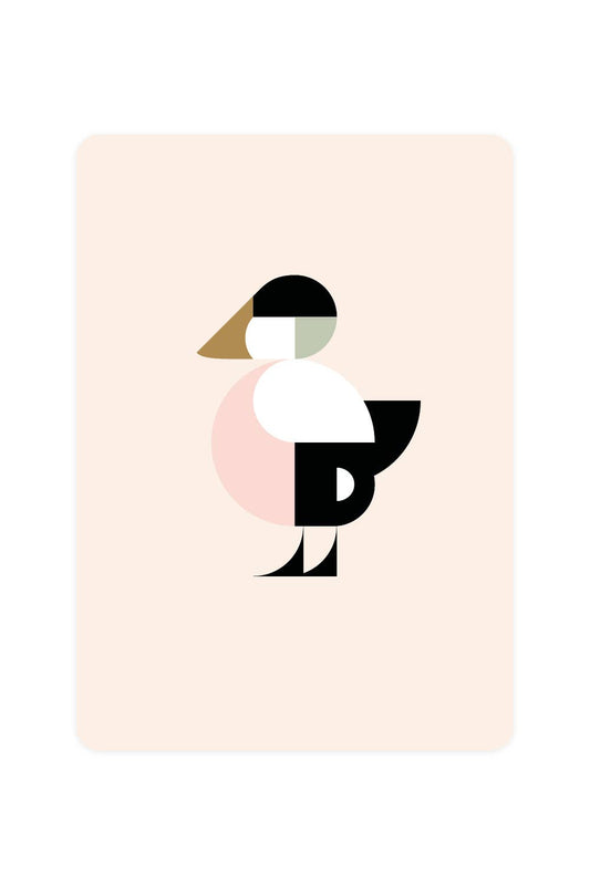 Postcard with Eider
