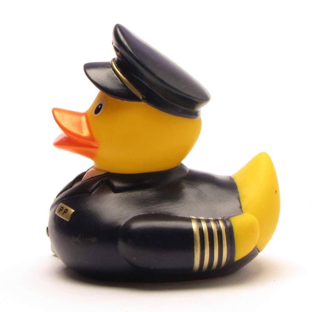Canard Pilote de l’air